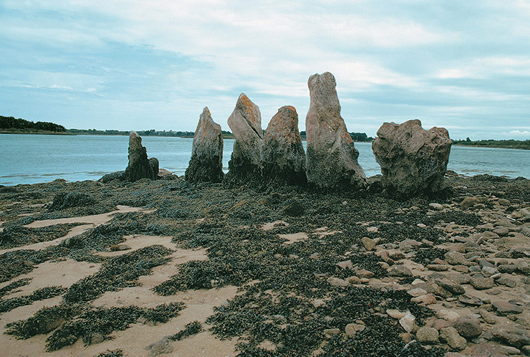 Serie di menhir di Età Neolitica, riemersi dalle acque del golfo di Morbihan
