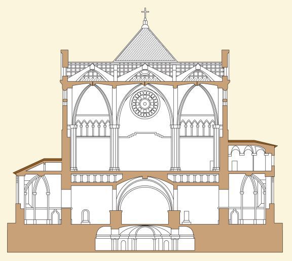 Sezione longitudinale della Basilica di San Francesco