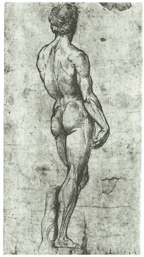 Copia del retro del David di Michelangelo