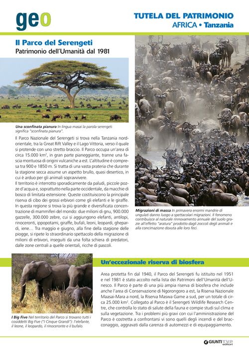 Africa Meridionale: Il Parco del Serengeti