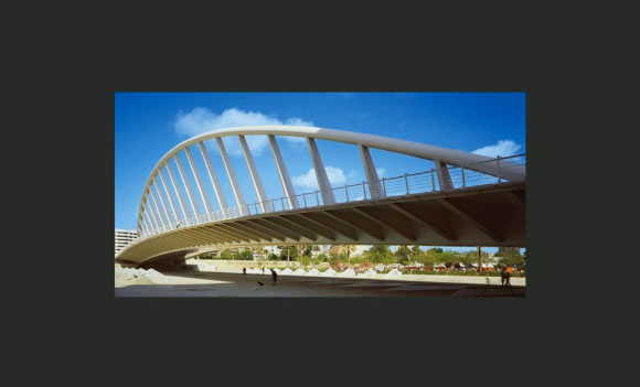 Dentro l'opera: Alameda Bridge (S. Calatrava)