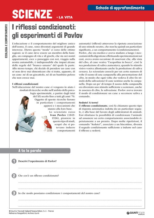 I riflessi condizionati: gli esperimenti di Pavlov