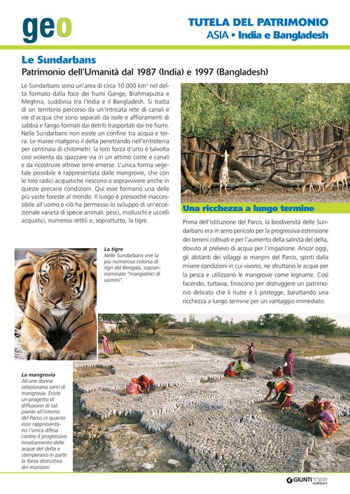 India e Bangladesh: le Sundarbans
