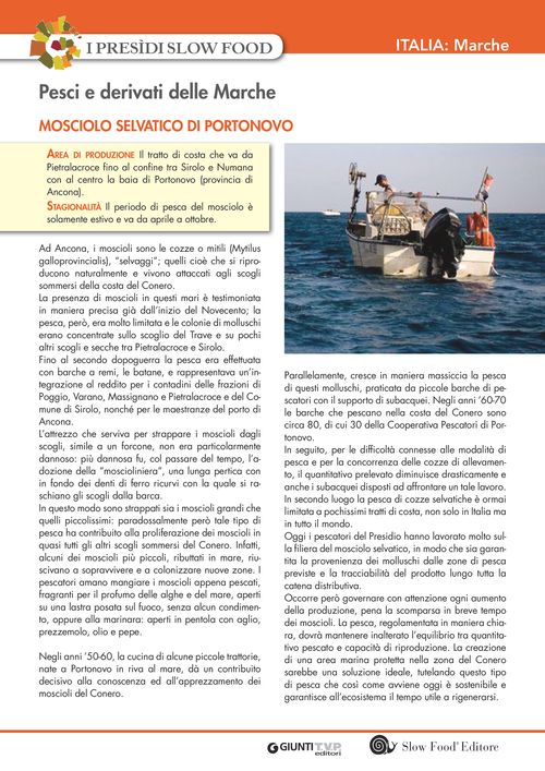 I presìdi Slow Food in Italia: pesci e derivati delle Marche