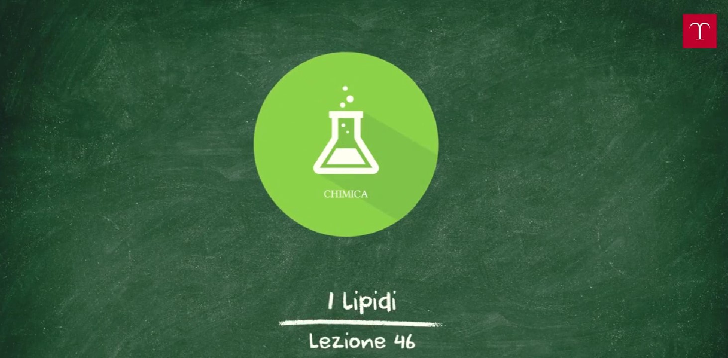 I lipidi: struttura e proprietà fisiche