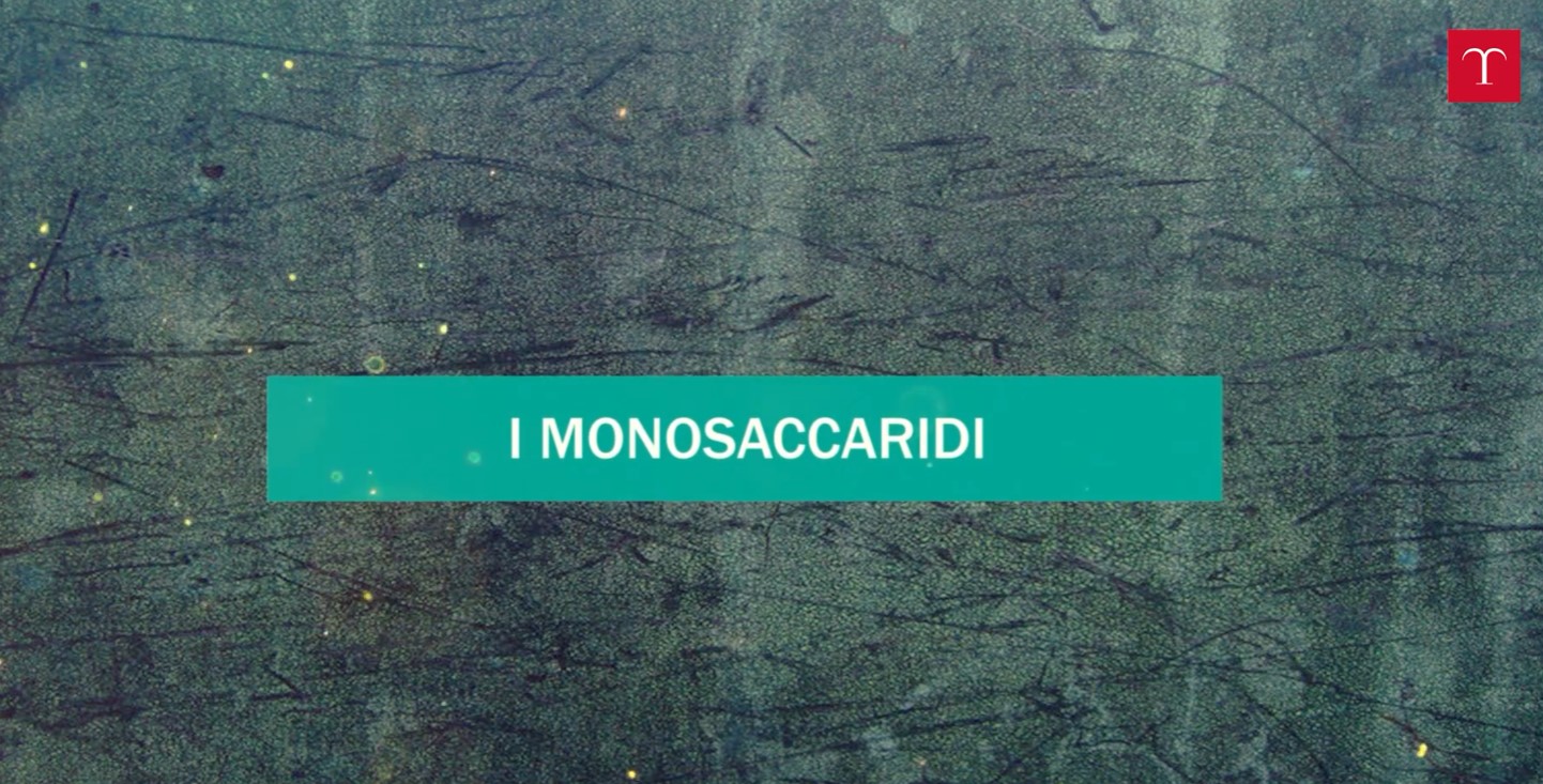 I monosaccaridi